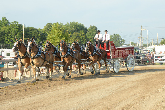 Six Horse Hitch-12