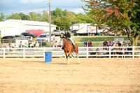 AJB_0767