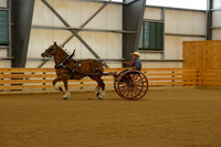 Sr. Youth Cart-5