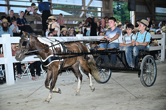 AJB_0896