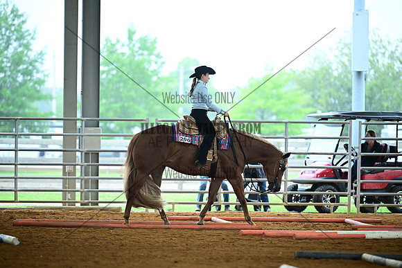 AJB_0519