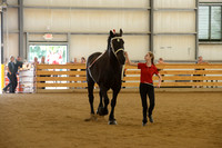 Sr. Youth Showmanship-3