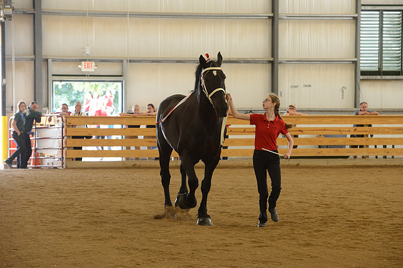 Sr. Youth Showmanship-3