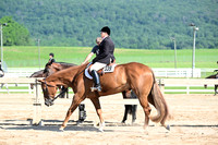 AJB_6574