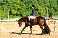 AJB_9975