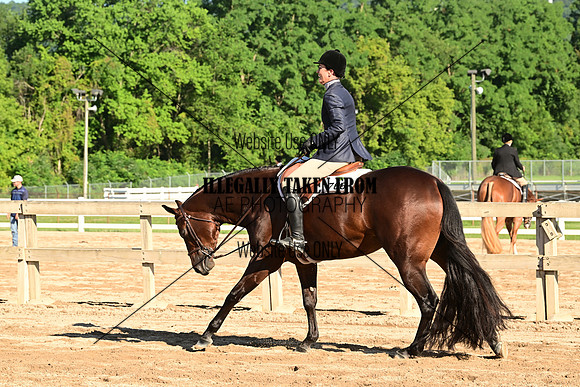 AJB_9975