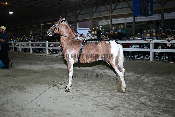AJB_0941