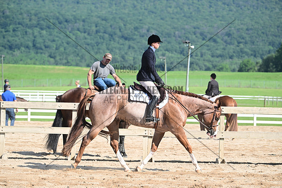 AJB_6547