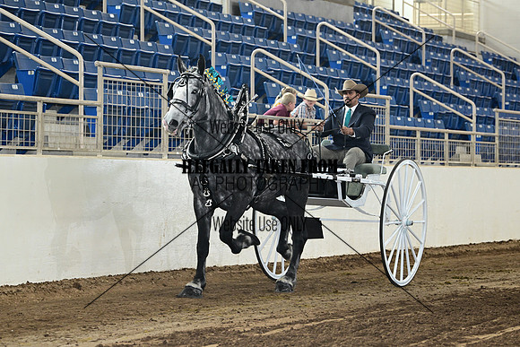 ASH_1053