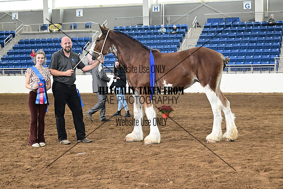 ASH_1877