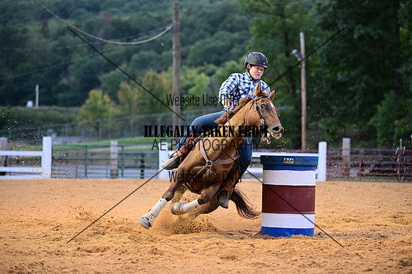 AJB_3627