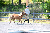 AJB_0949