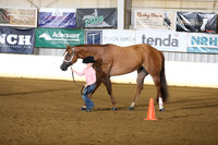 46. Youth Aged Mares