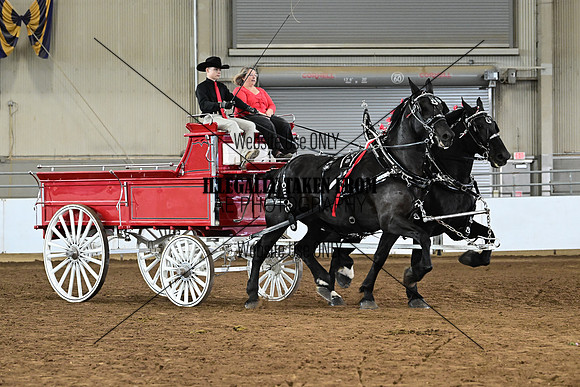 ASH_3881