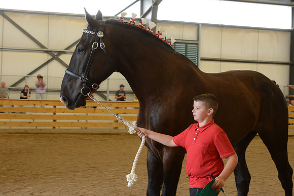 Jr. Youth Showmanship-56