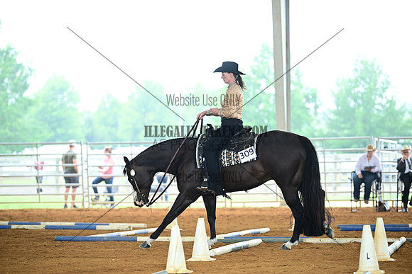 AJB_0739