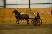Ladies Cart_Belgians-6