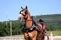 AJB_4788