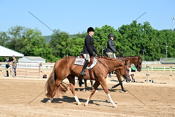 AJB_8930