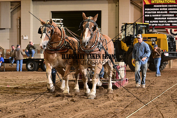 ASH_5878
