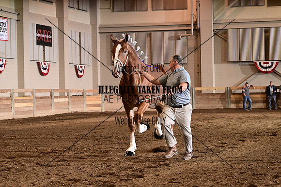 ASH_6054