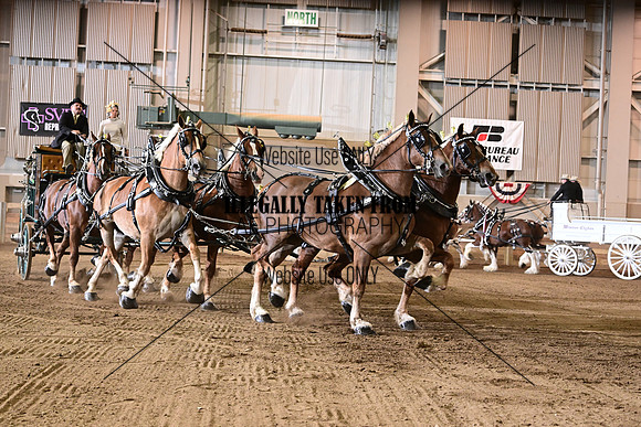 ASH_7102