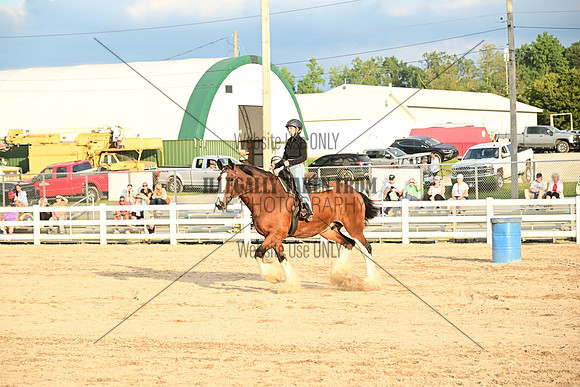AJB_0768