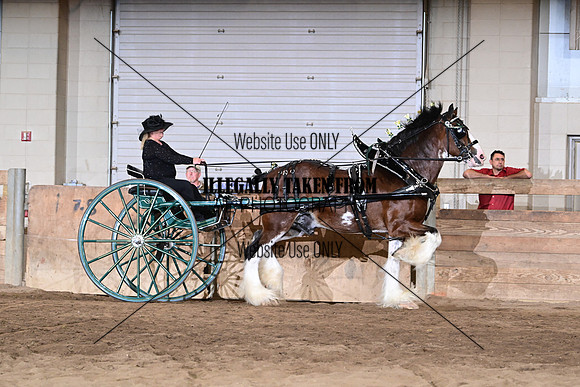 ASH_8787