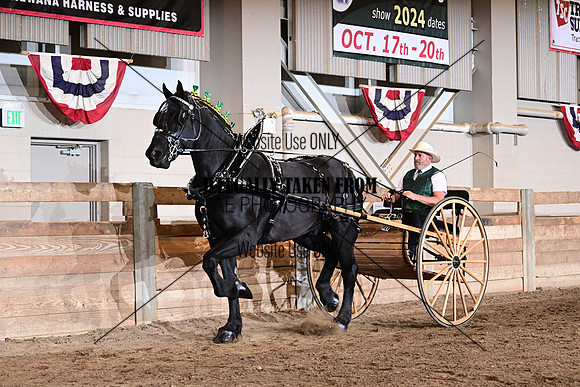 ASH_8481