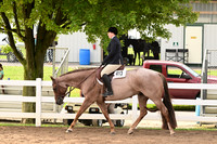 AJB_6455