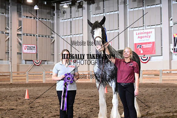 ASH_9943