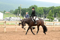 AJB_6584
