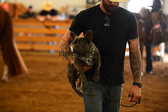STE_8620