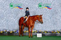 a.foradora_States_2429-4x6-5x7-8x10