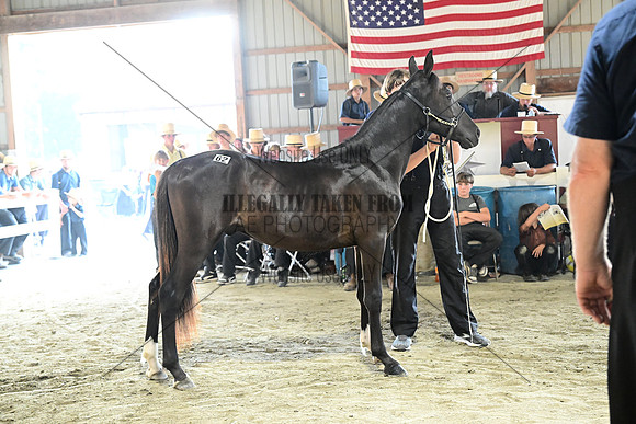 AJB_0693