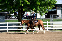 83. Amateur Ranch Rail