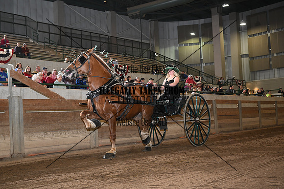 ASH_3615
