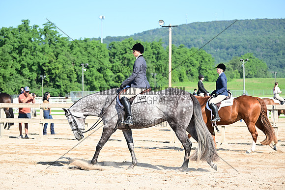 AJB_6508