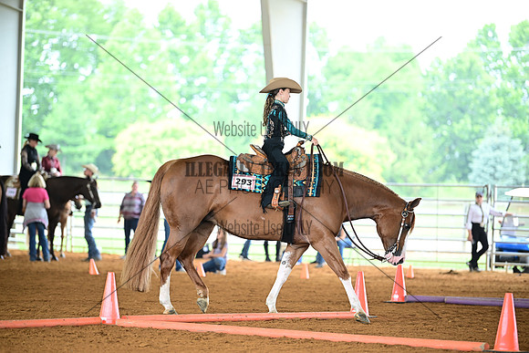 AJB_0934