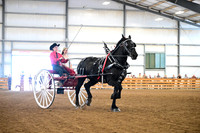 Senior Youth Cart