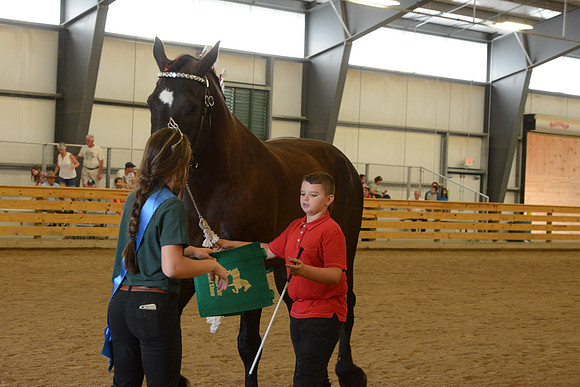 Jr. Youth Showmanship-55