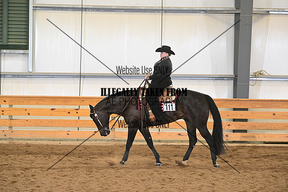 AJB_9494