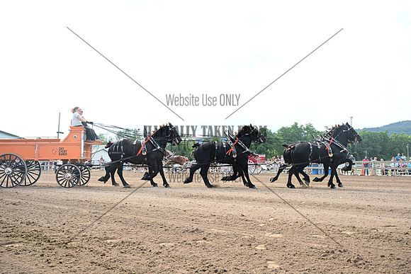 AJB_0398