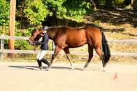 AJB_0340