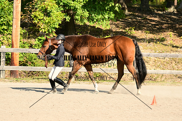 AJB_0340