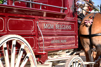 MGM_5327