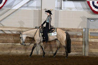 101 ABRA Western Pleasure Senior Horse