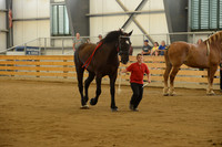 Jr. Youth Showmanship-1