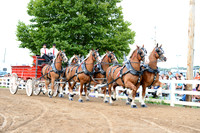 Centre Grange Draft Show 2021