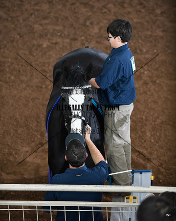 shires_5381